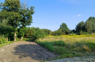20250807_171415.jpg