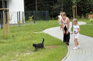 IMG_9649.jpeg