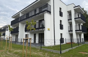 IMG_9660.jpeg