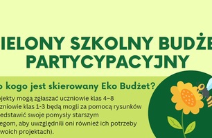 Uczniowie wybrali projekty